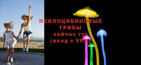 тгк Верея