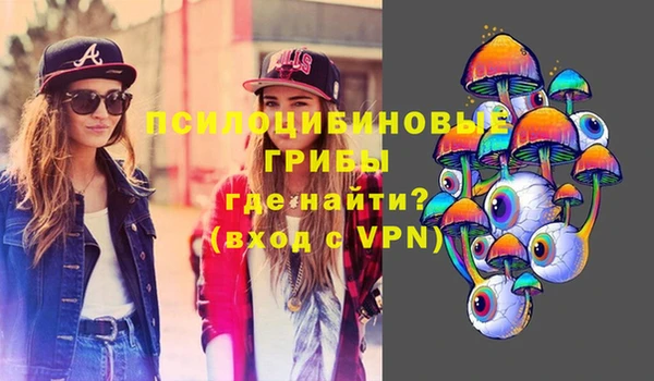 тгк Верея